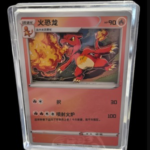 Pokemon Chinese Shadow Box (Blind Box)